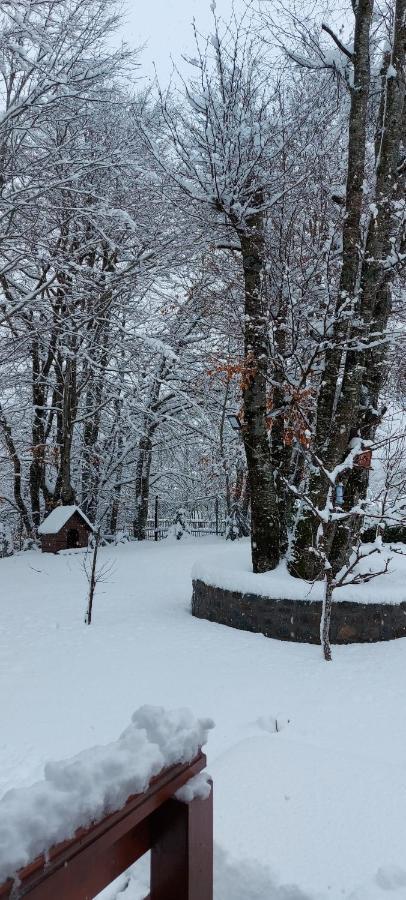 Vikendica Crkvina Villa Kolasin Exterior photo